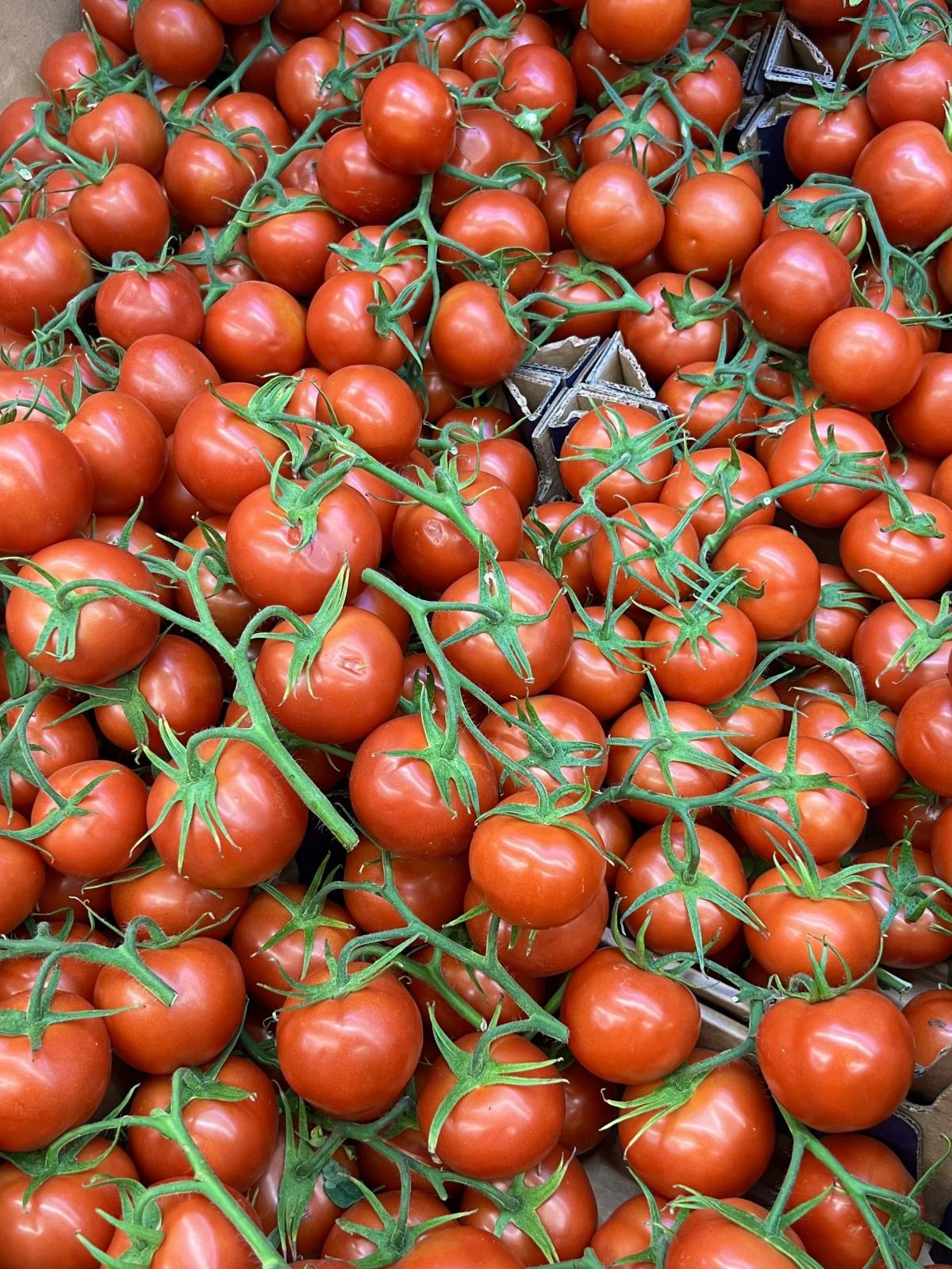 اليوم الخامس - جولة 2025 - اسطنبول  اليوم الخامس - جولة 2025 - اسطنبول