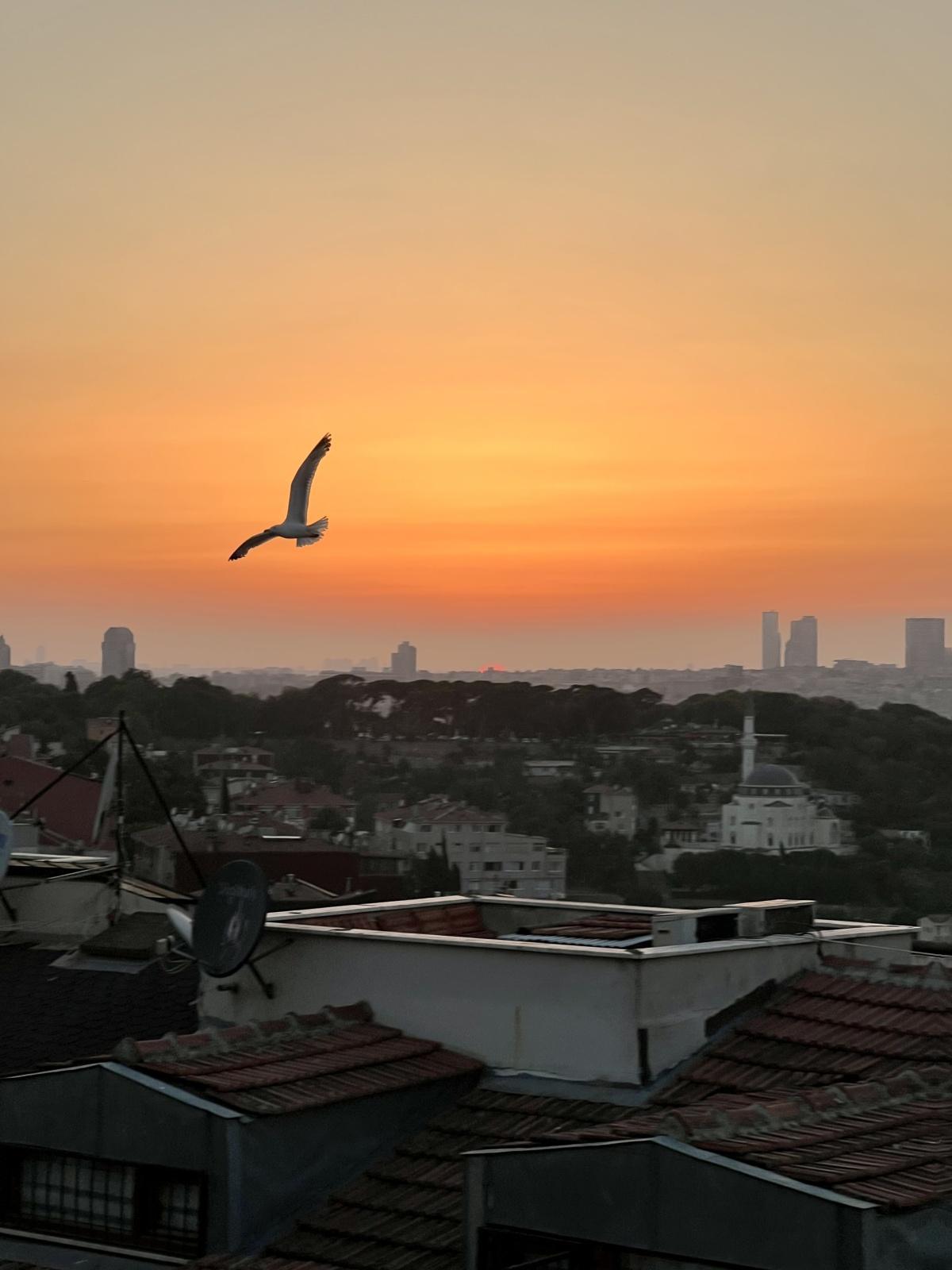 اليوم الخامس - جولة 2025 - اسطنبول  اليوم الخامس - جولة 2025 - اسطنبول