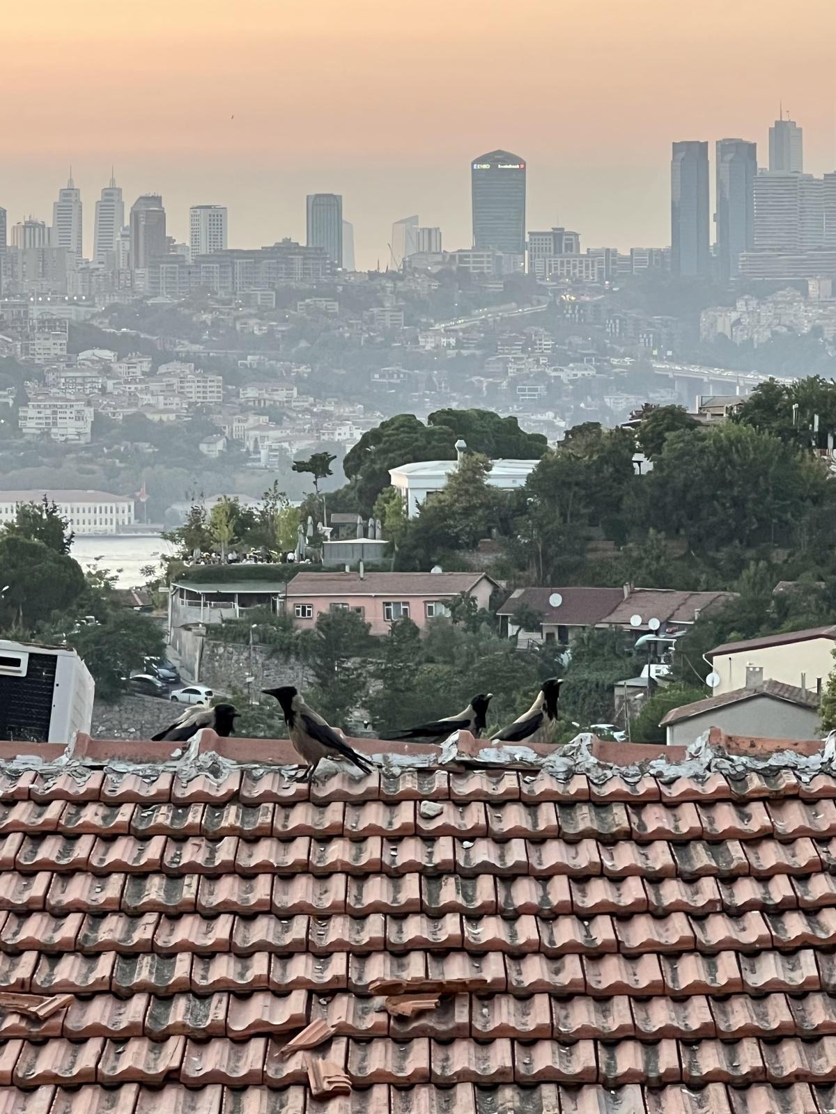 اليوم الخامس - جولة 2025 - اسطنبول  اليوم الخامس - جولة 2025 - اسطنبول