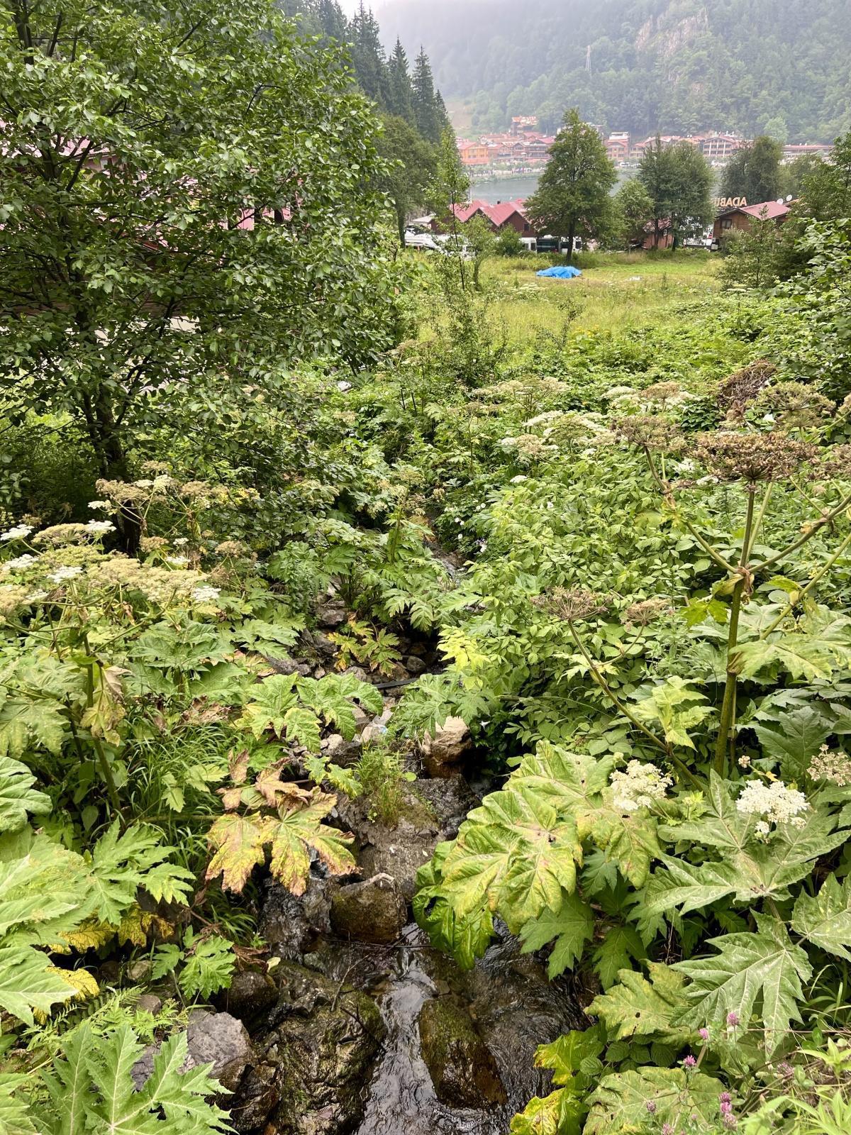 اليوم الثامن - جولة 2025 - طرابزون / أزنغول اليوم الثامن - جولة 2025 - طرابزون / أزنغول