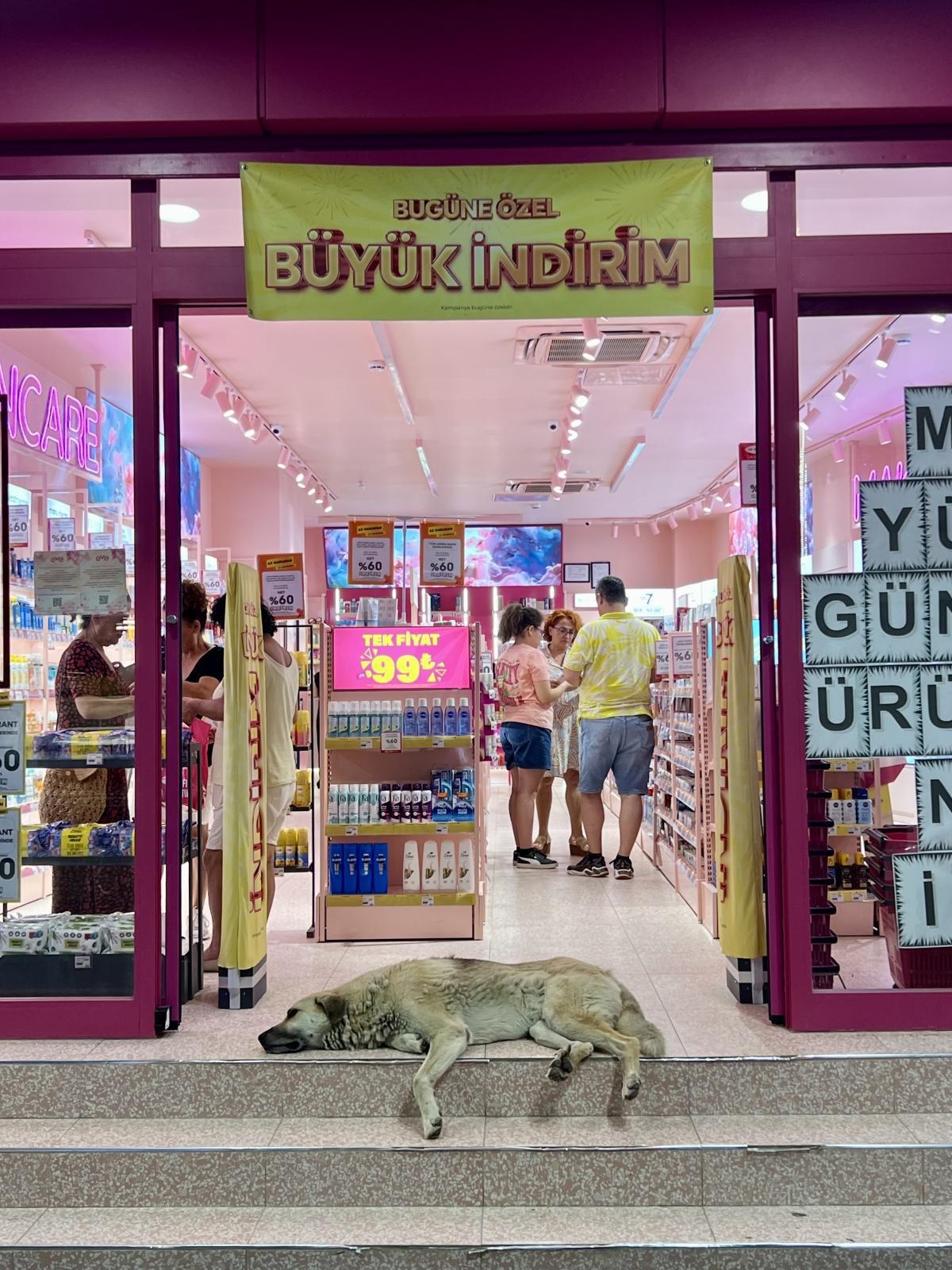 اليوم الحادي عشر - جولة 2025 - إسكندرون اليوم الحادي عشر - جولة 2025 - إسكندرون