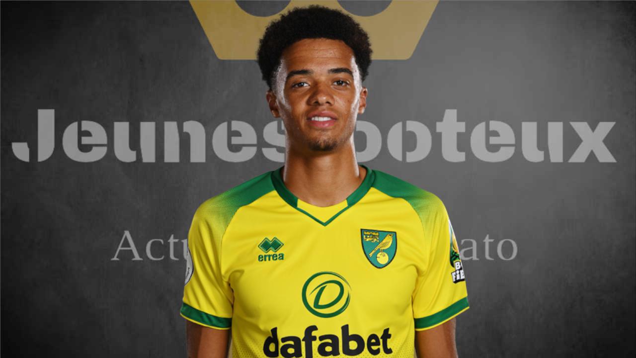 Jamal Lewis, arrière latéral gauche de Norwich City