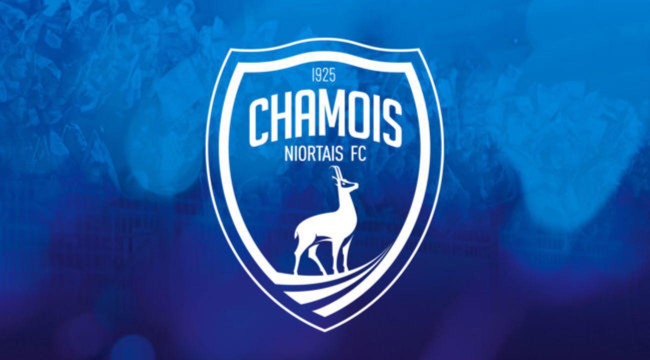 Rui Almeida n'est plus l'entraîneur de Niort