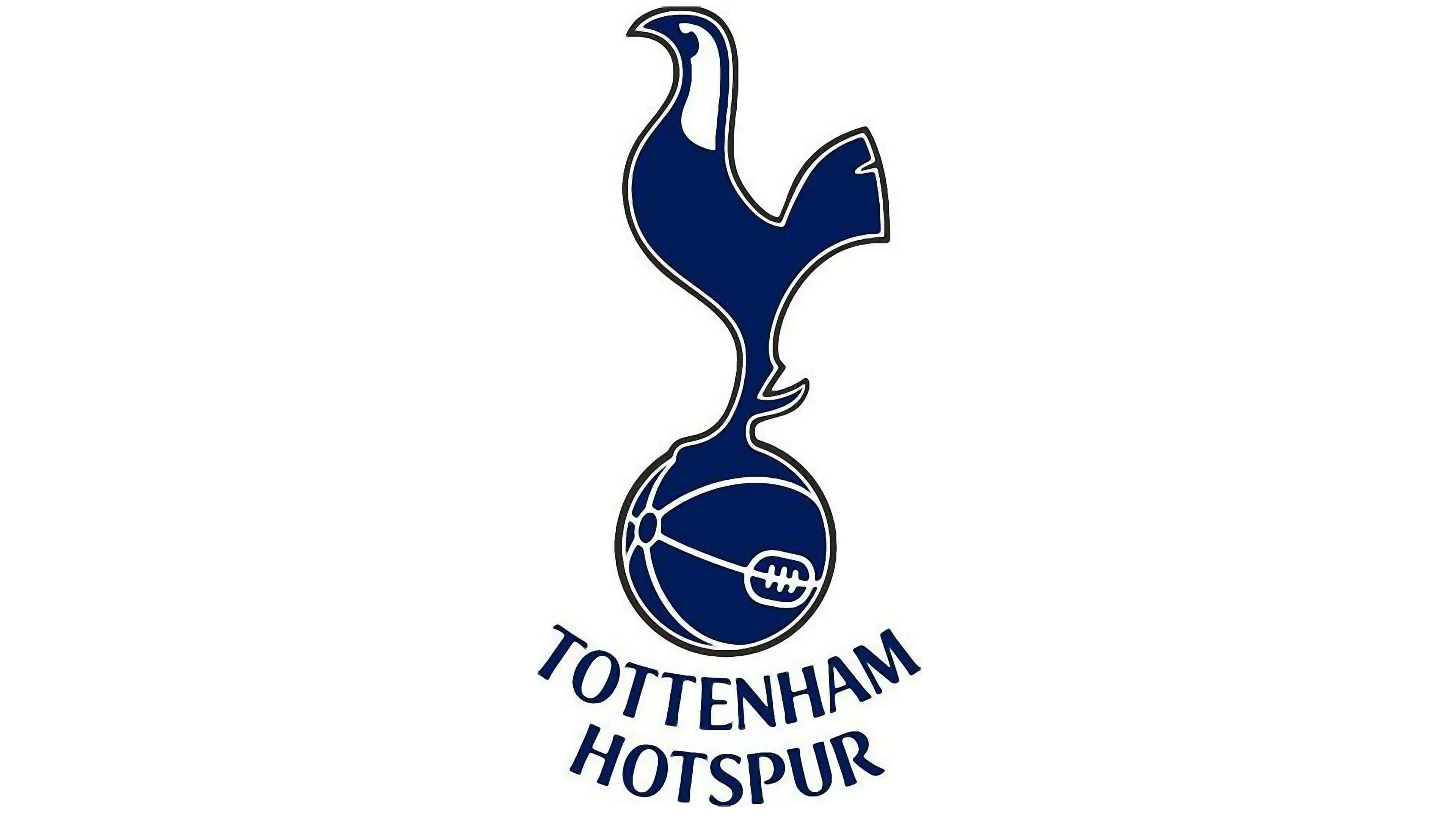 Tottenham : une star de Newcastle recrutée pour 56 millions ?
