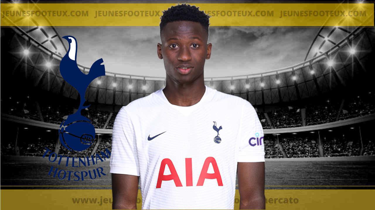 Pape Matar Sarr (Tottenham) de retour en Ligue 1 ?