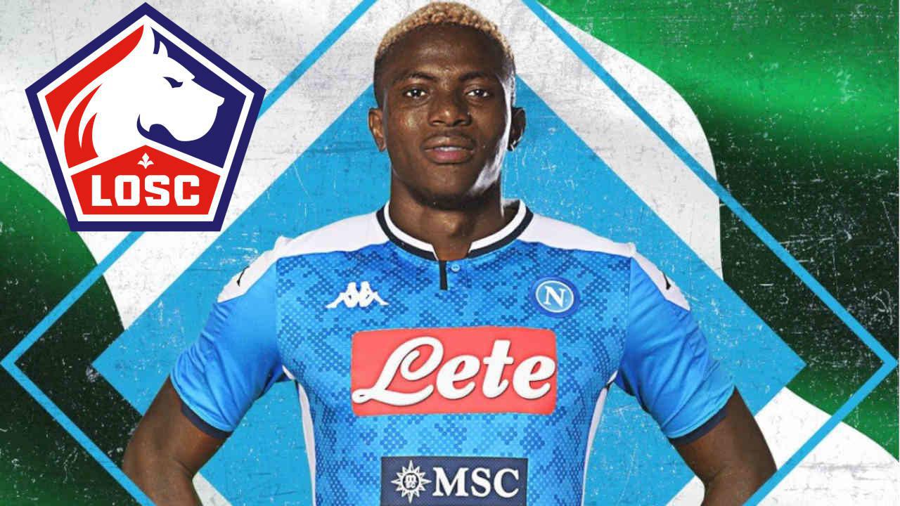 Lille : un dossier à 42M€ pour le LOSC grâce à Osimhen ?