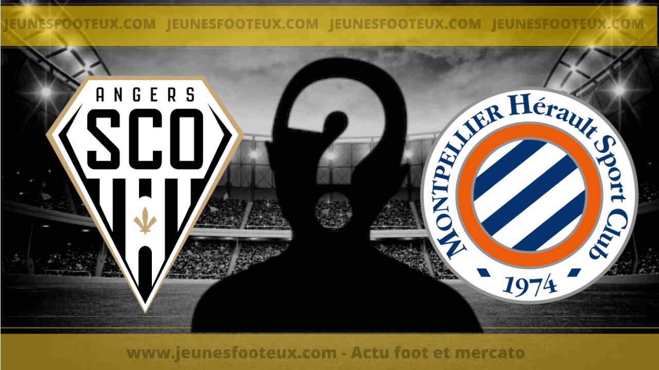 Adoré à Toulon, il va faire le bonheur de Angers SCO et Montpellier HSC !
