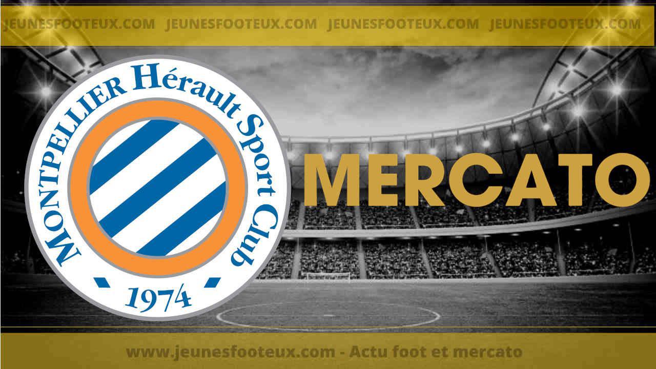 MHSC : un transfert à 500 000€ validé par Der Zakarian à Montpellier !
