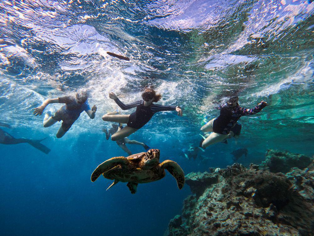 Go Local Cook Islands