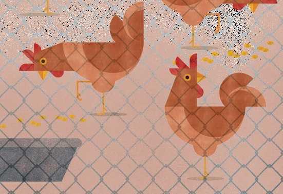 Avís risc de virus en aus salvatges o mortes Avís risc de virus en aus salvatges o mortes