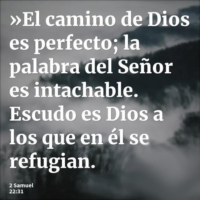 Escudo es Dios a los que en él se refugian. Escudo es Dios a los que en él se refugian.