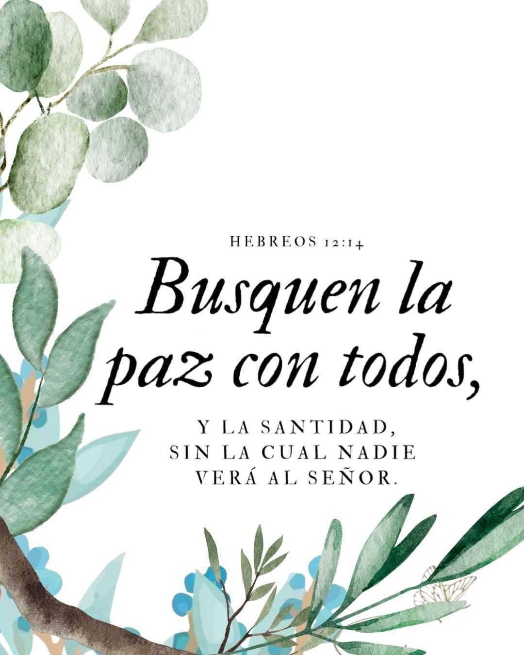 Hebreos 12:14