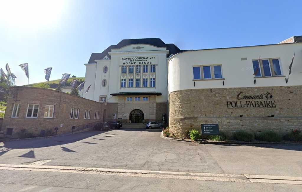 Wuermer Kellerei TD mam Baggy & Manu 