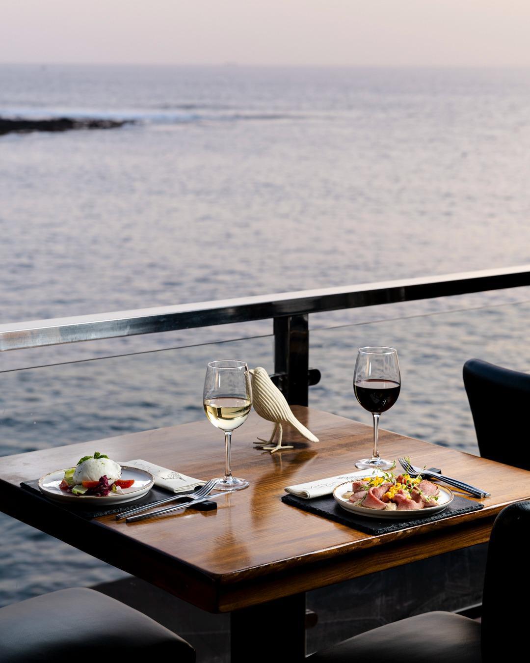 Mirlo La Caleta Mirlo La Caleta