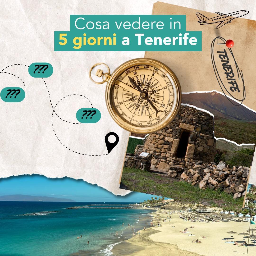 New World Tour Operator New World Tour Operator