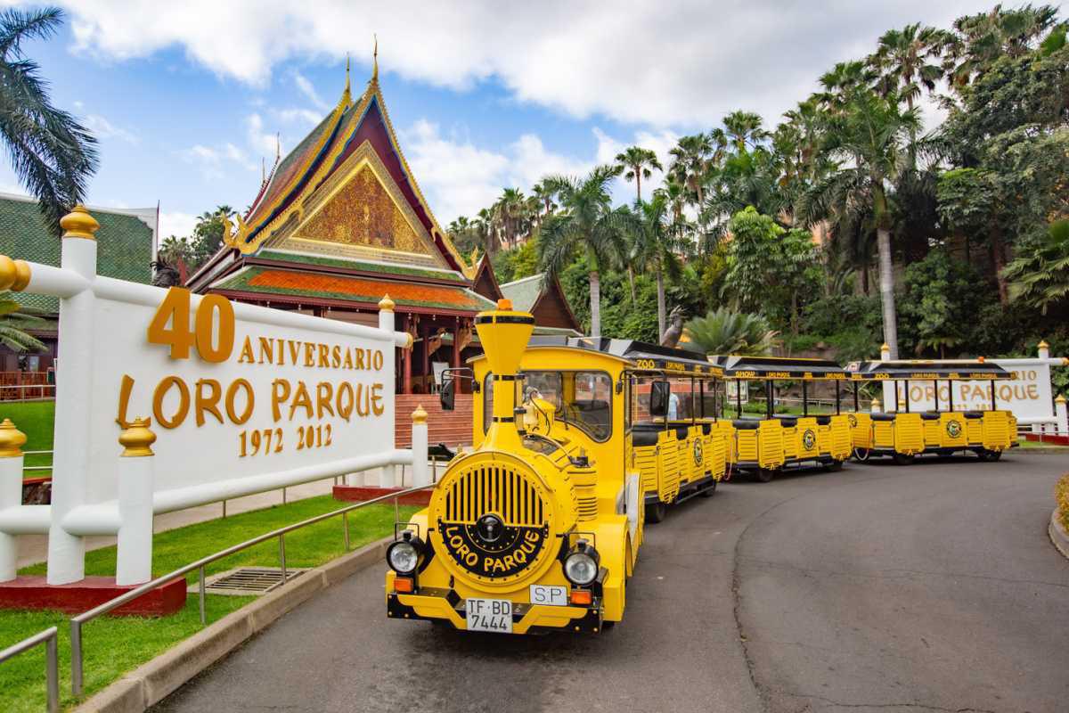 Loro Parque Loro Parque