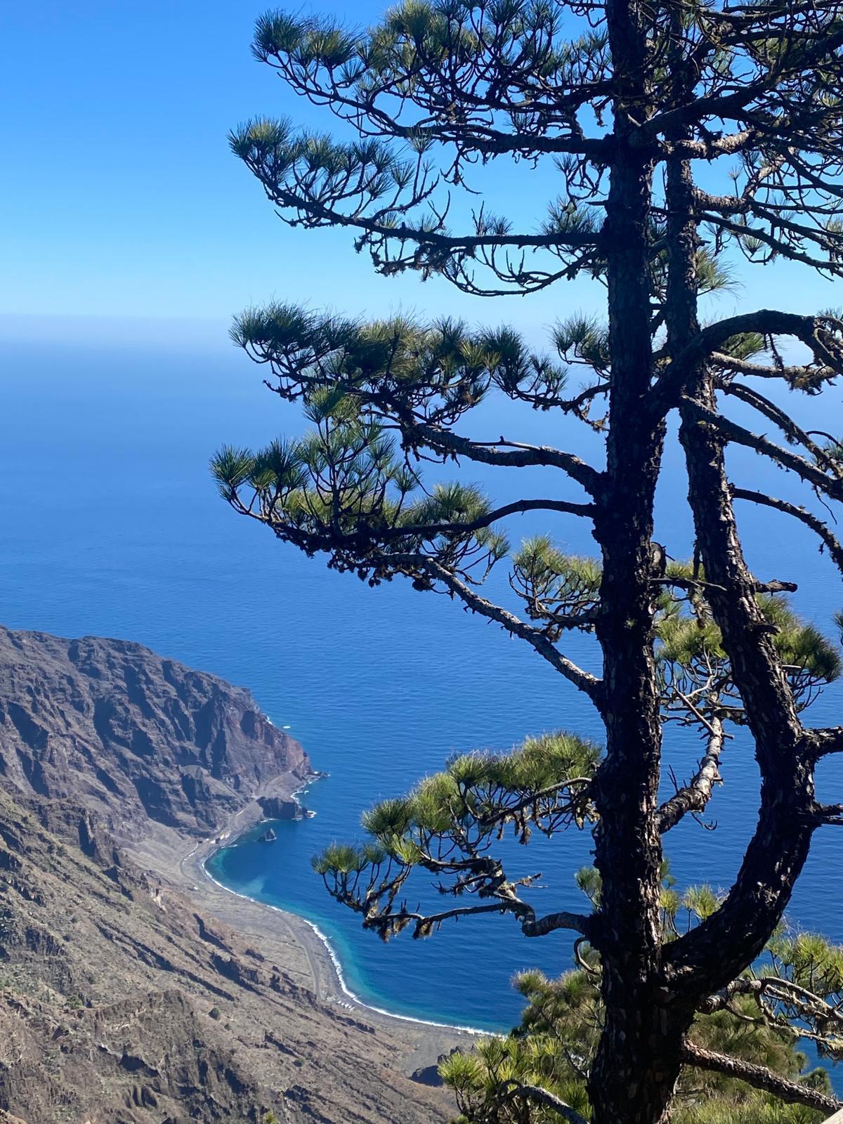 El Hierro: Un Itinerario alla scoperta della Riserva della Biosfera e il Geoparco El Hierro: Un Itinerario alla scoperta della Riserva della Biosfera e il Geoparco