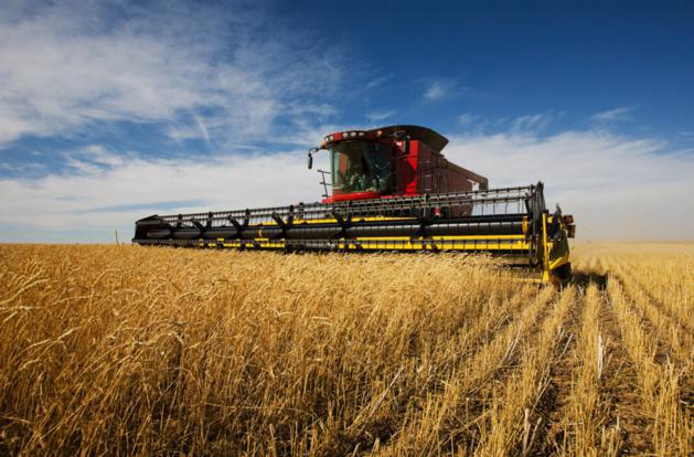 Acuerdo de libre intercambio entre la UE y EEUU: la agricultura en peligro