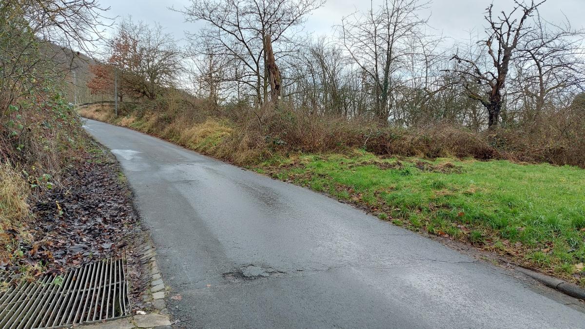 Der Ortsvorsteher informiert - Gehwegausbau im Layer Bergweg beginnt bald