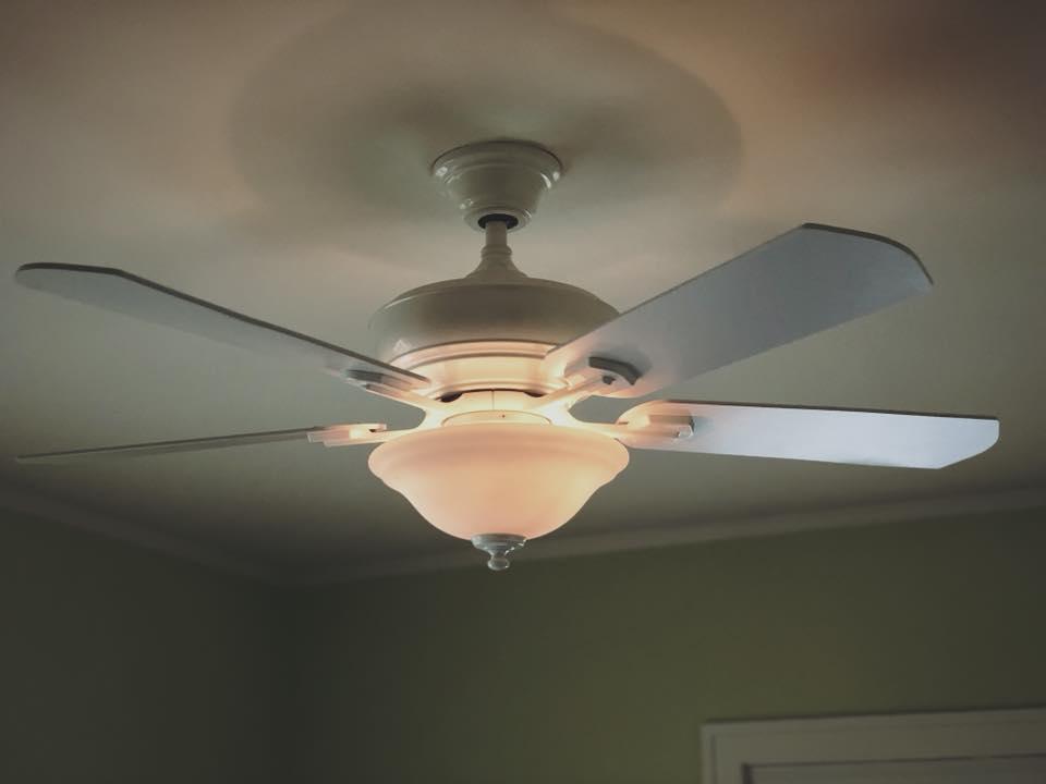 Forza Electric Forza Electric