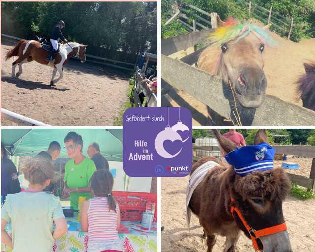 Sommer, Sonne, Spaß pur auf dem Reiterhof in WULFSDORF! Sommer, Sonne, Spaß pur auf dem Reiterhof in WULFSDORF!