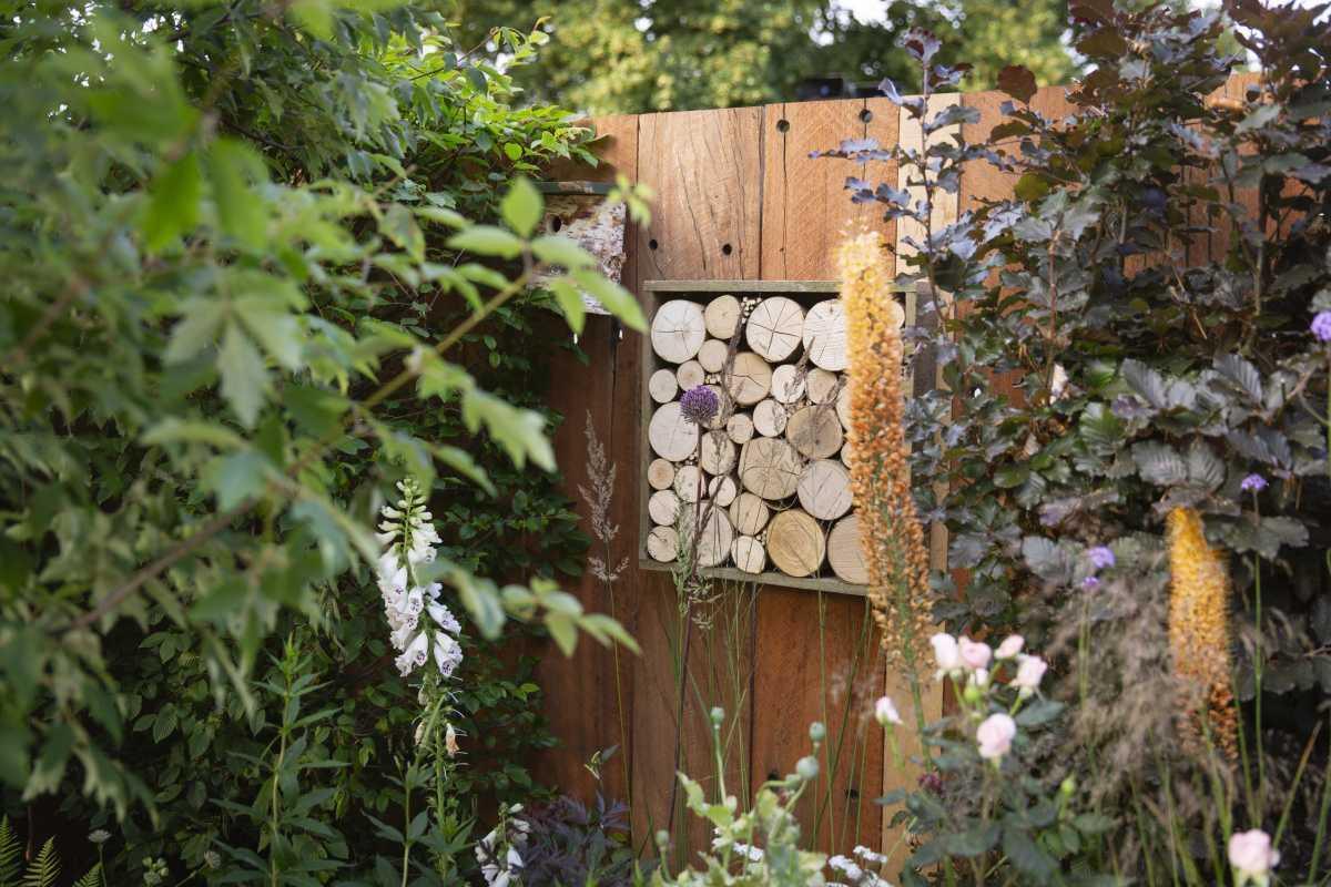 🌱 Early Spring in the Garden: Indie Cambridge Asks Tim Jennings