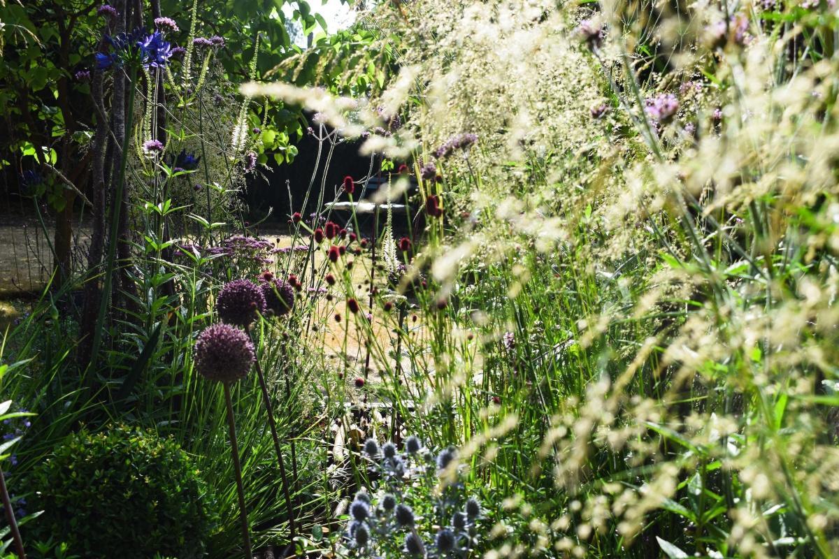 🌱 Early Spring in the Garden: Indie Cambridge Asks Tim Jennings