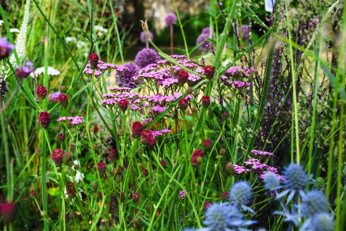 🌱 Early Spring in the Garden: Indie Cambridge Asks Tim Jennings 🌱 Early Spring in the Garden: Indie Cambridge Asks Tim Jennings