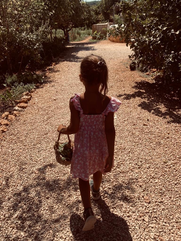 Farms and Wildlife Wonders of Ibiza’s Countryside - Spoiler: More Baa's Than Roar ;) Farms and Wildlife Wonders of Ibiza’s Countryside - Spoiler: More Baa's Than Roar ;)