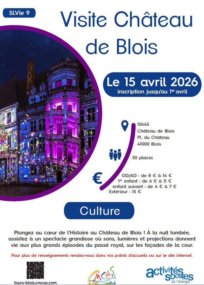 Visite château de Blois - activité SLVie