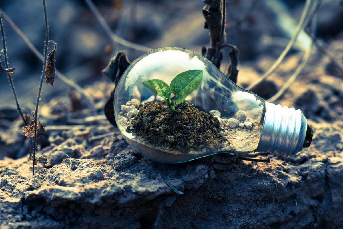 L’enjeu social des questions environnementales dans le champ d’action des CSE
