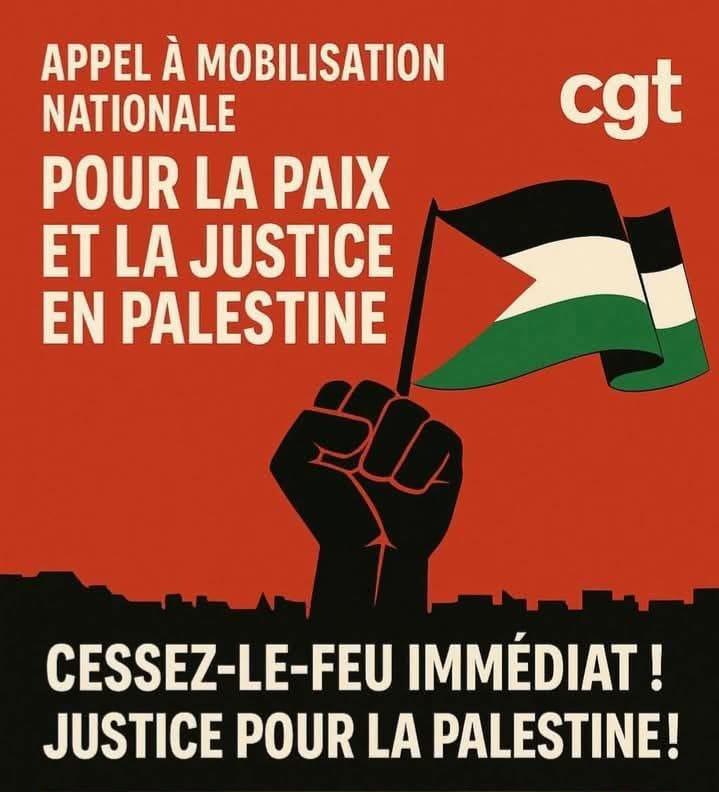 Le 14 juin mobilisation mondiale pour la Palestine - Rdv à 10h30 place Jean Jaurès à Troyes