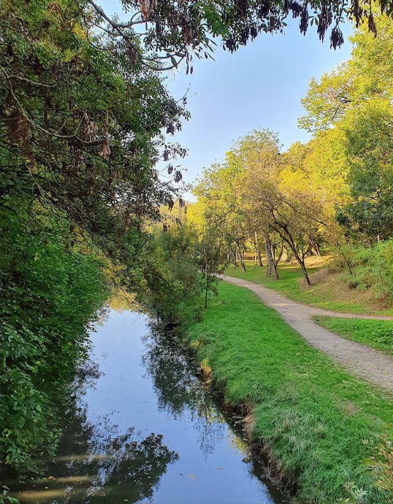 🎧 Le Parc Charruyer 🎧 Le Parc Charruyer