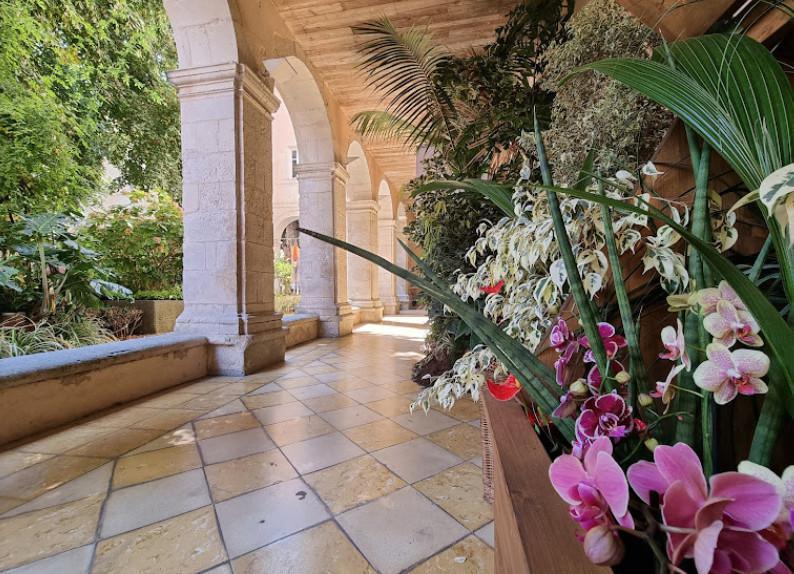 🎧 Le Cloitre des Dames Blanches