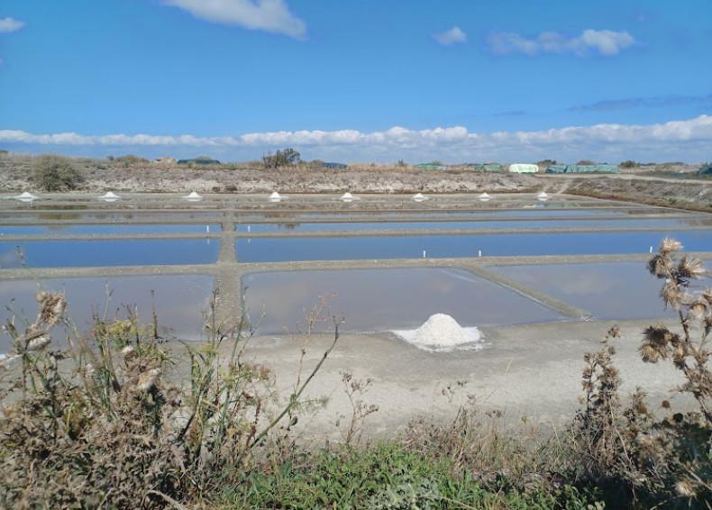 Les Marais salants de La Couarde