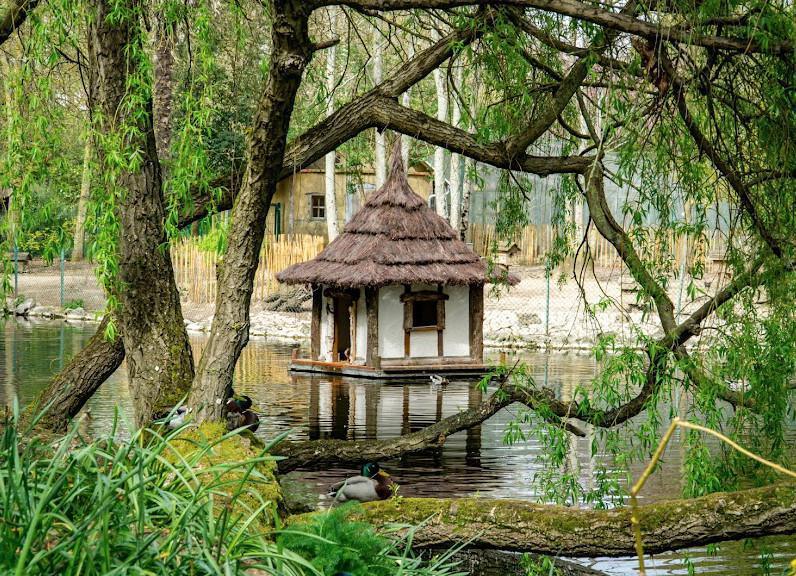 🎧 Le Parc animalier Charles-Édouard Beltremieux