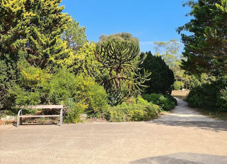 🎧 Le Parc Frank Delmas