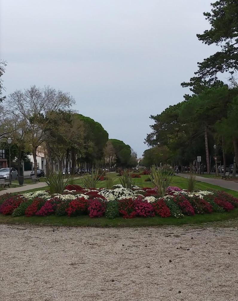 🎧 Les Allées du Mail 🎧 Les Allées du Mail