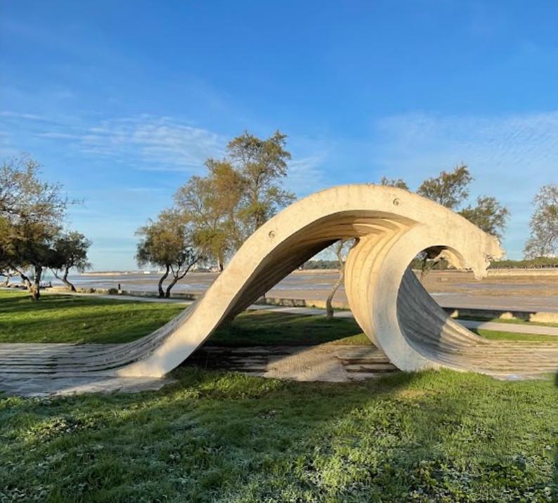 🎧 La Vague Géante de Christian Renonciat