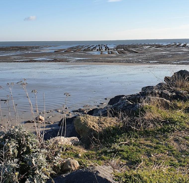 La Plage d’ars en ré