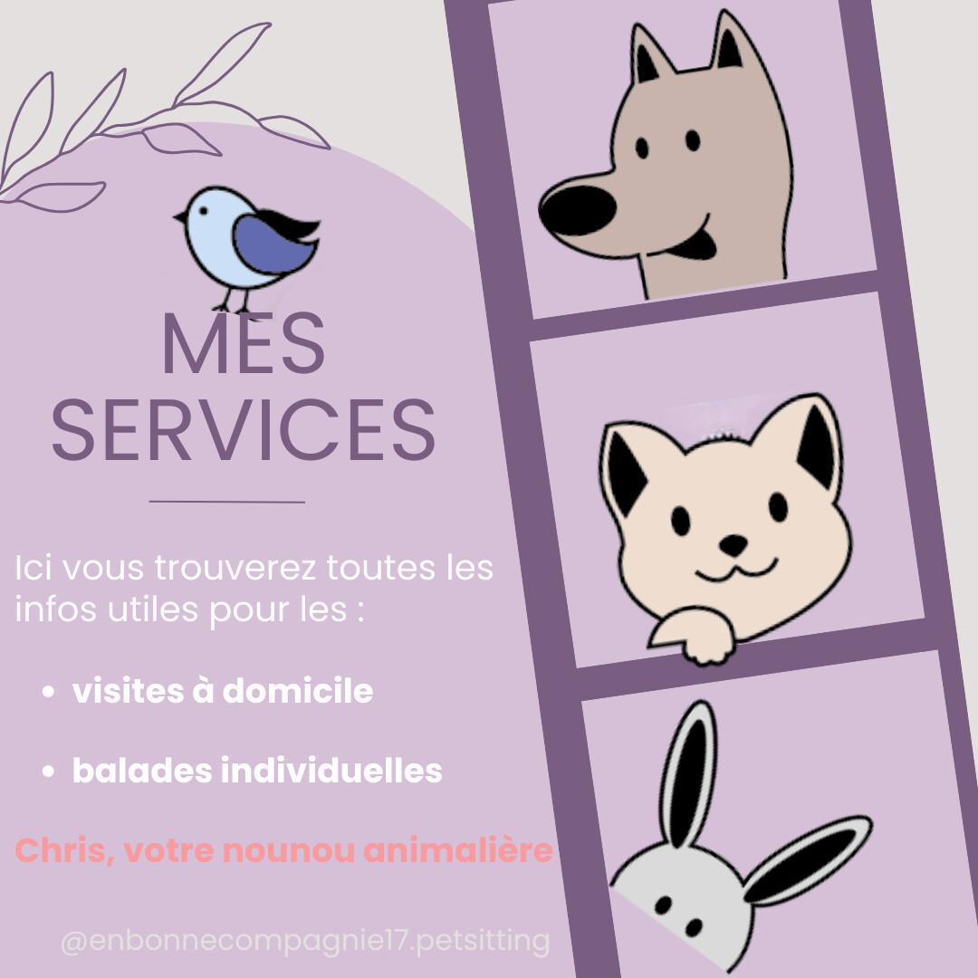 En Bonne Compagnie – Pet Sitter pro à La Rochelle & alentours