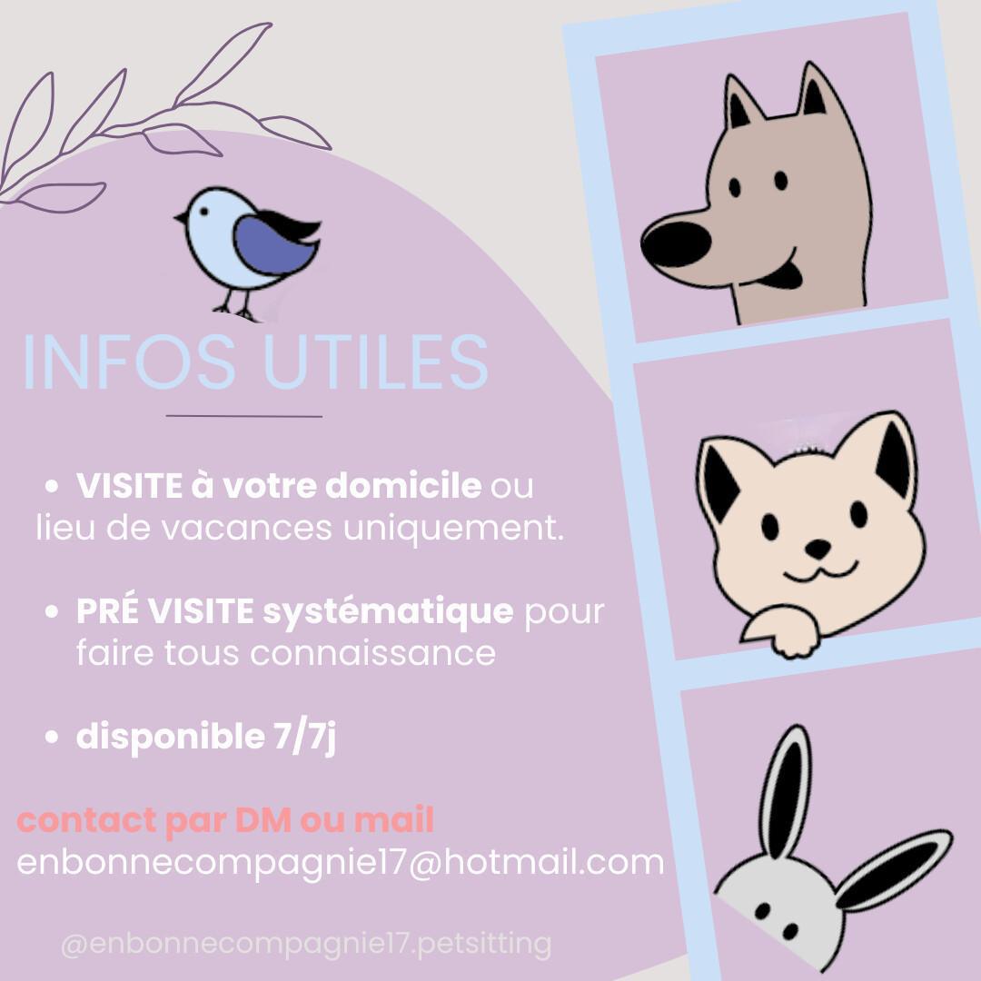 En Bonne Compagnie – Pet Sitter pro à La Rochelle & alentours