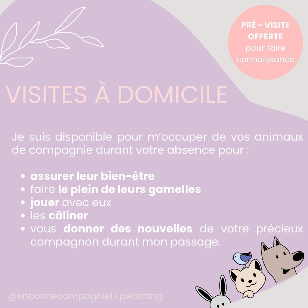 En Bonne Compagnie – Pet Sitter pro à La Rochelle & alentours