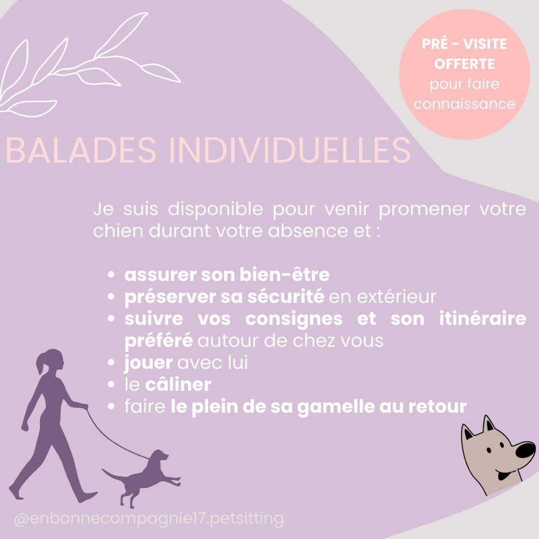 En Bonne Compagnie – Pet Sitter pro à La Rochelle & alentours