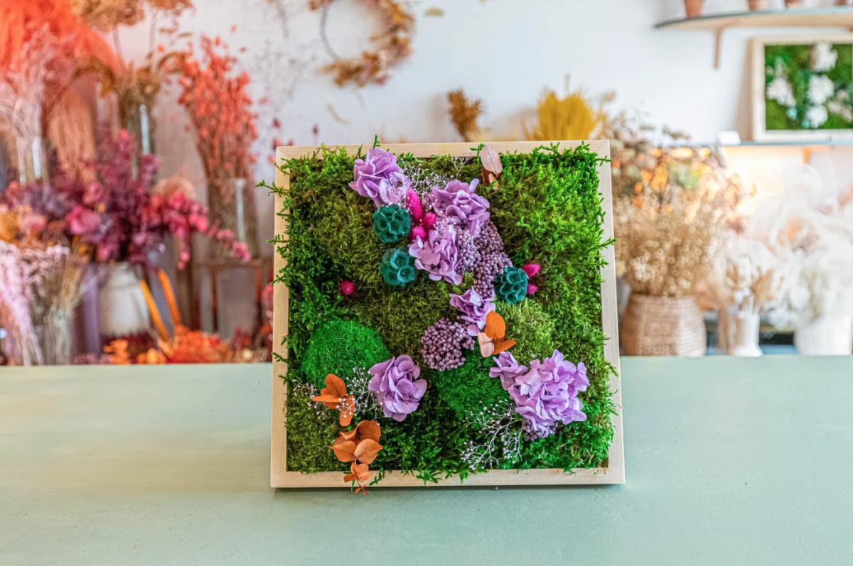 🌿 Créez votre cadre végétal avec Claire 🌿 Créez votre cadre végétal avec Claire