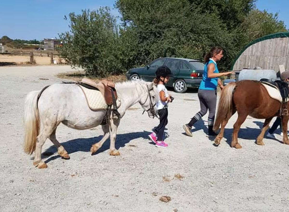 🐴 Balade à poney pour enfants à Angoulins 🐴 Balade à poney pour enfants à Angoulins