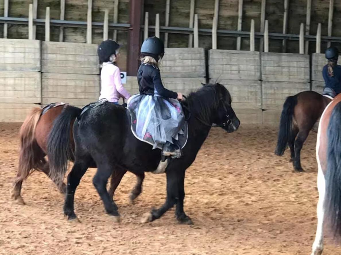 🐴 Cours d'introduction à l'équitation pour enfants à Angoulins 🐴 Cours d'introduction à l'équitation pour enfants à Angoulins