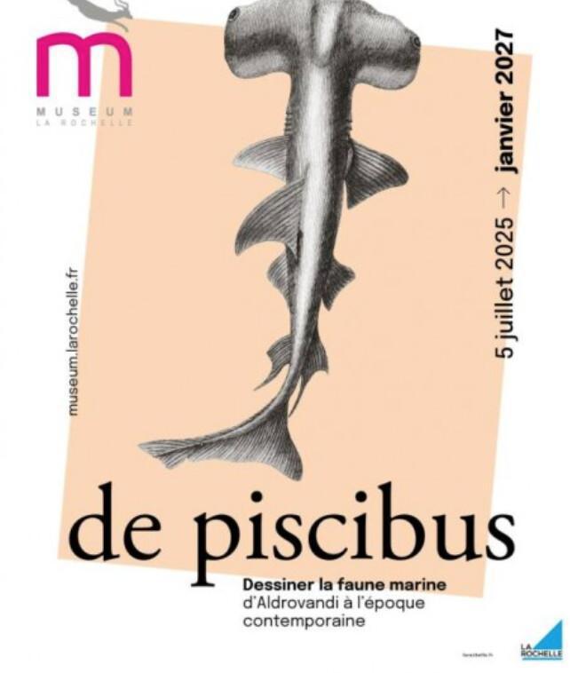 Exposition – De piscibus