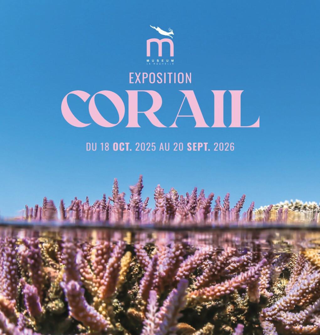 Exposition “Corail” – Muséum d’Histoire Naturelle de La Rochelle Exposition “Corail” – Muséum d’Histoire Naturelle de La Rochelle