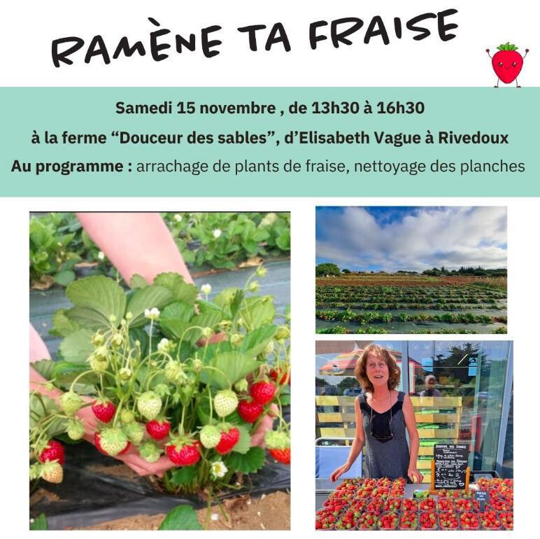 Ramène ta fraise – Chantier participatif à Rivedoux Ramène ta fraise – Chantier participatif à Rivedoux